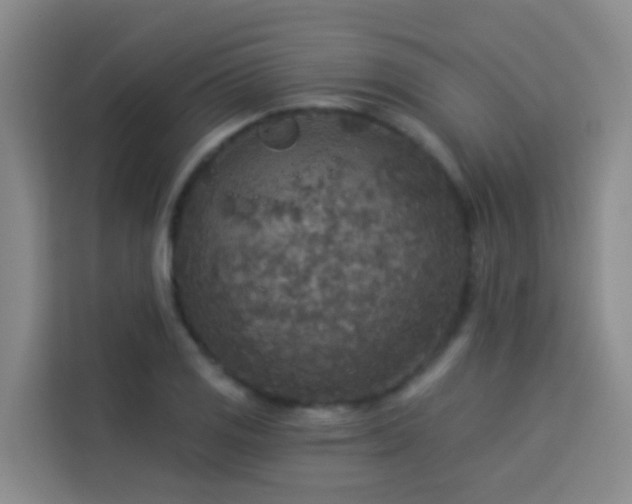 X0000114131125200910081239