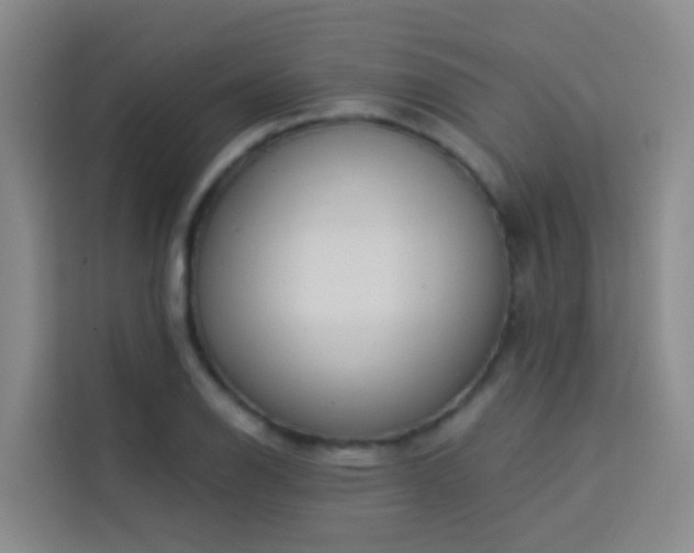 X0000114131126200910081239