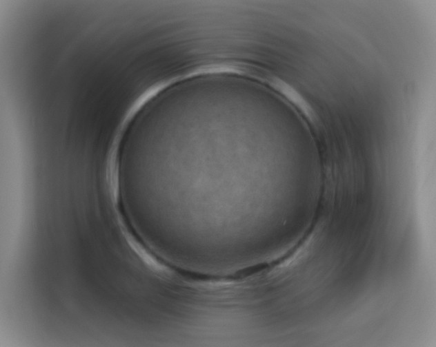 X0000114131127200910081239