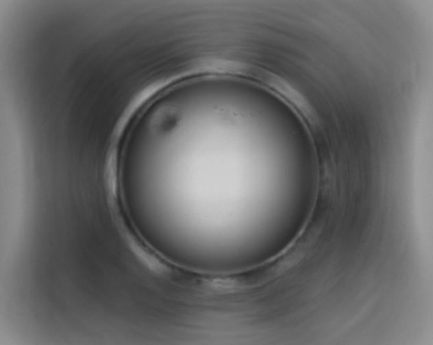 X0000114131128200910081239