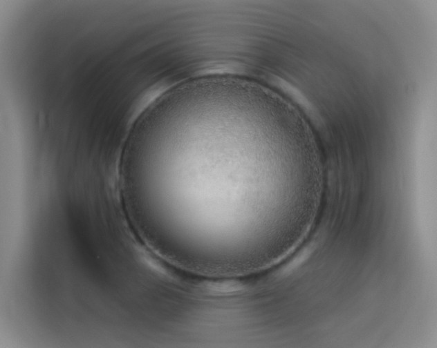 X0000114131129200910081239