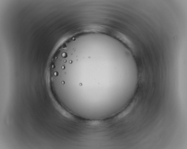 X0000114131130200910081239