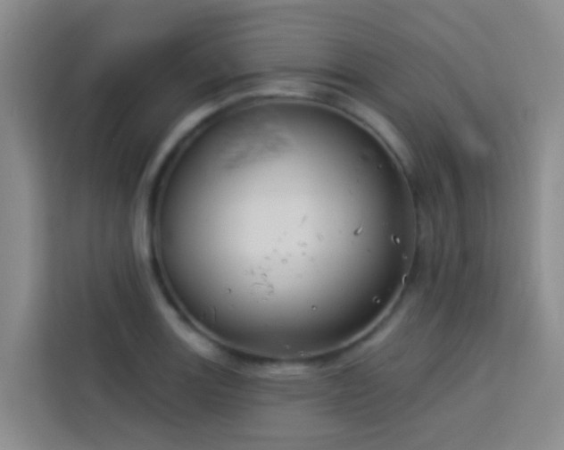 X0000114131131200910081239
