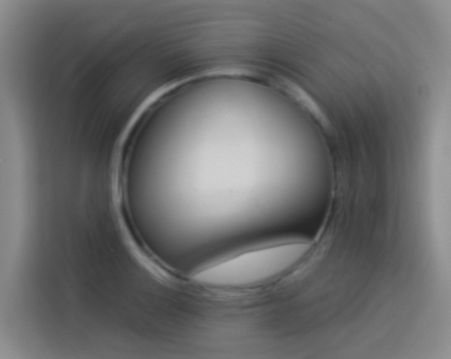 X0000114131132200910081239