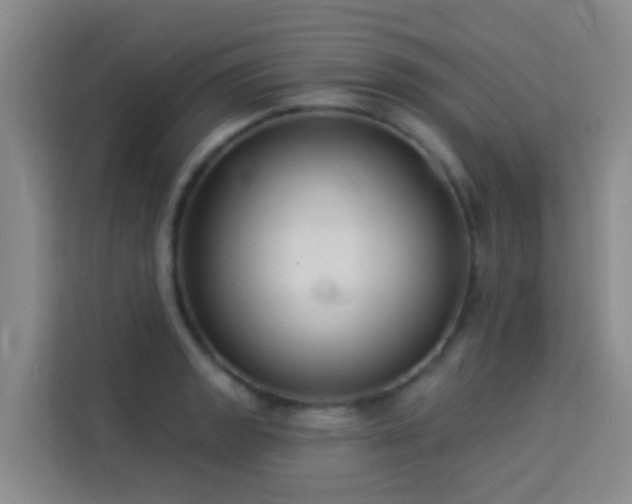X0000114131133200910081239
