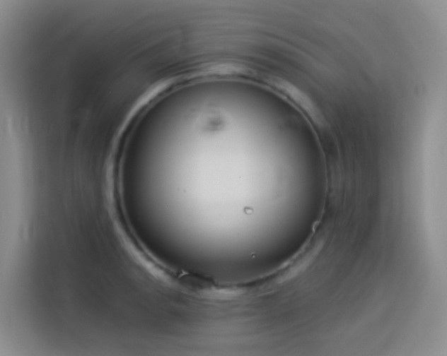 X0000114131134200910081239