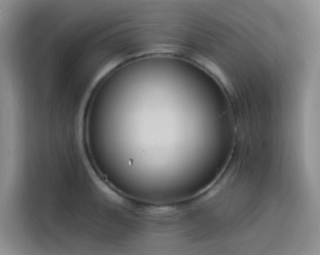X0000114131135200910081239