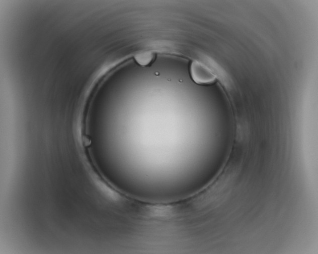 X0000114131136200910081239