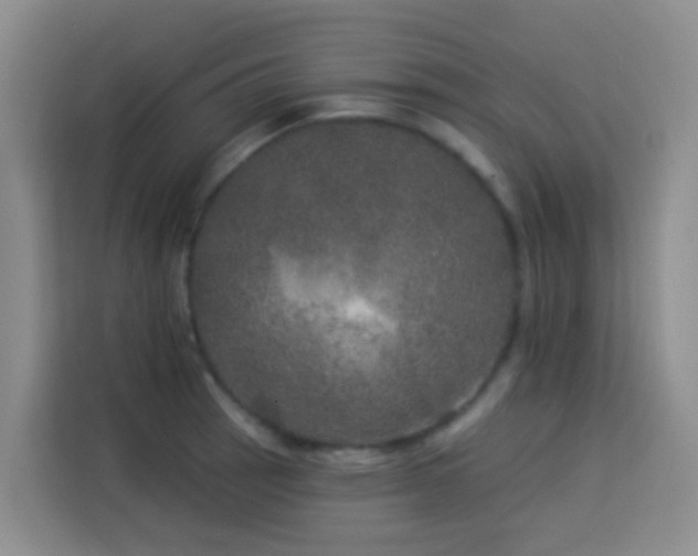 X0000114131137200910081239