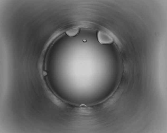 X0000114131138200910081239
