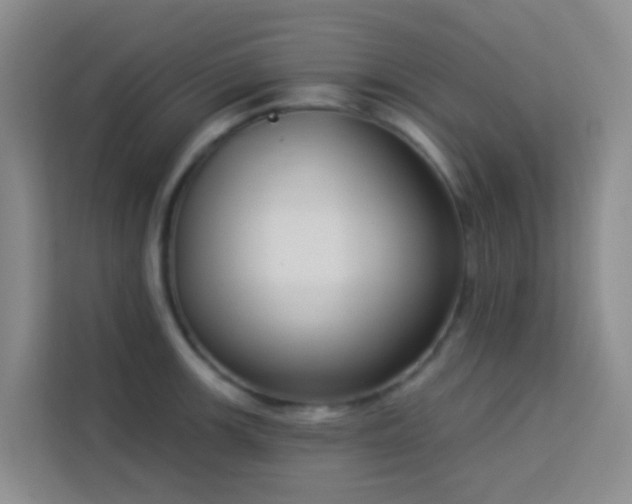 X0000114131139200910081239