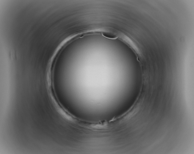 X0000114131140200910081239