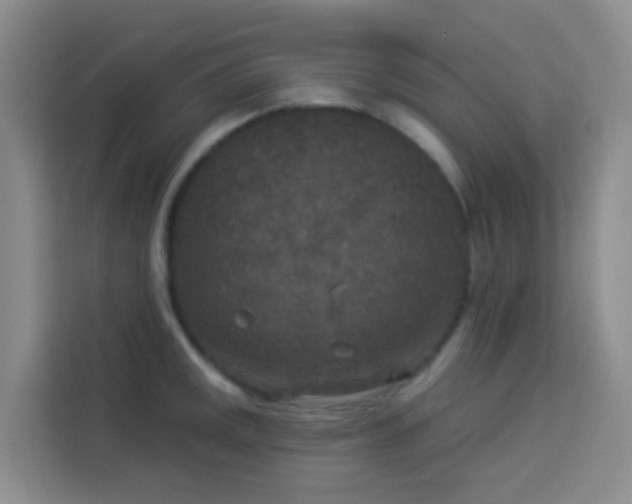 X0000114131141200910081239