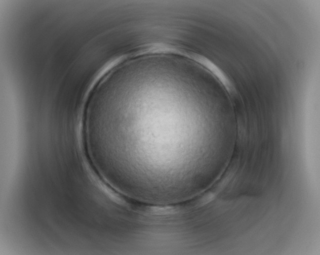 X0000114131142200910081239