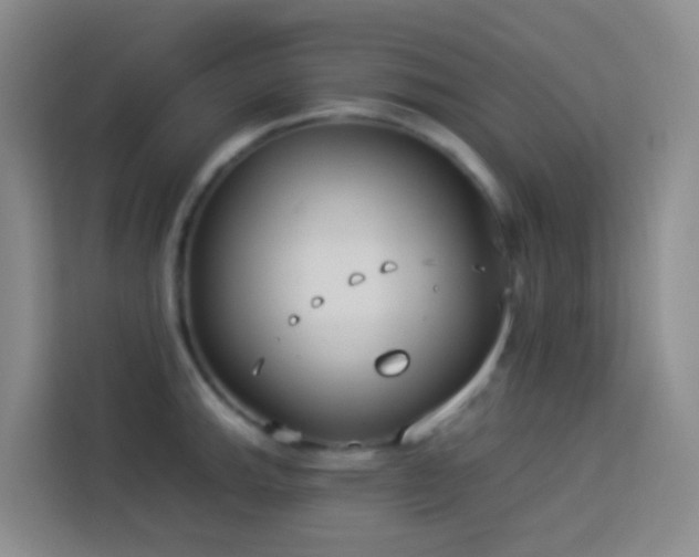 X0000114131143200910081239