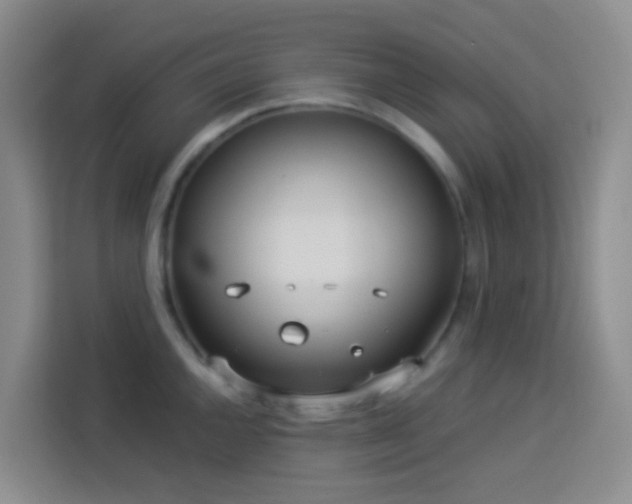 X0000114131144200910081239