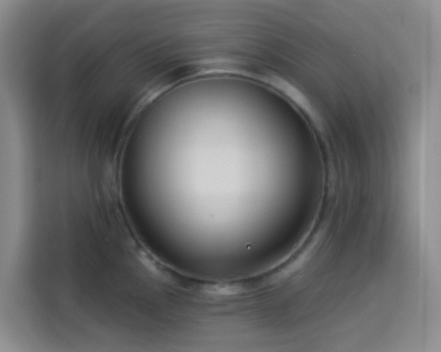 X0000114131145200910081239