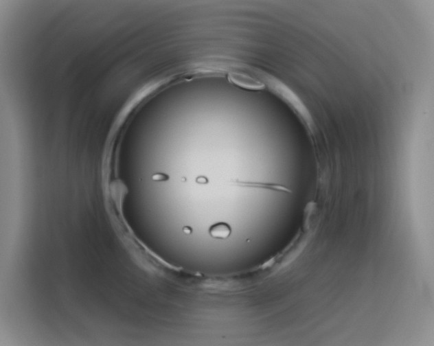 X0000114131146200910081239