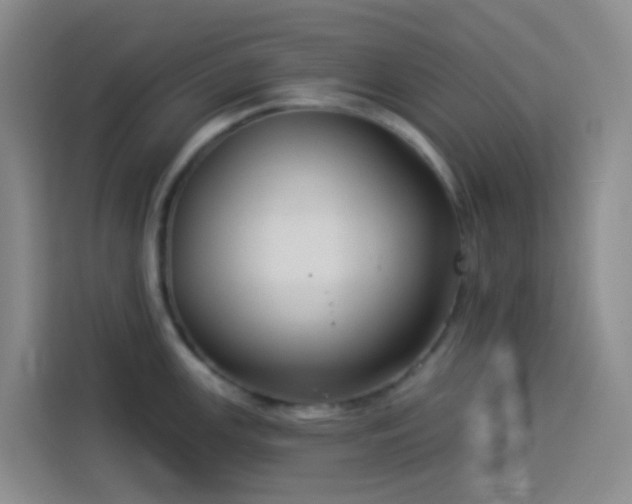 X0000114131147200910081239