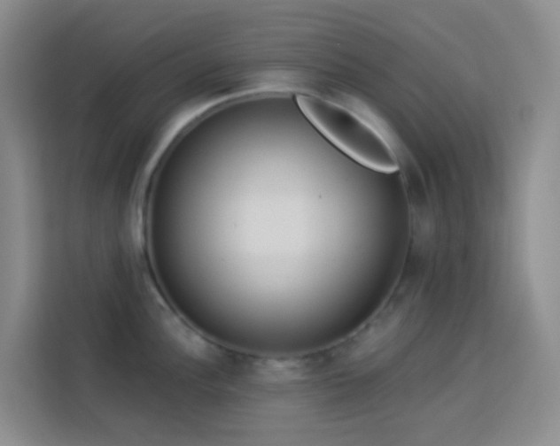X0000114131148200910081239