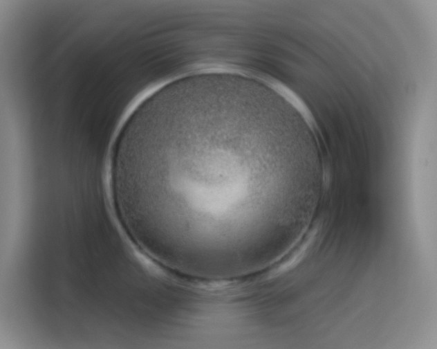 X0000114131149200910081239