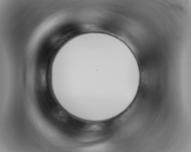 X0000114131150200910081239