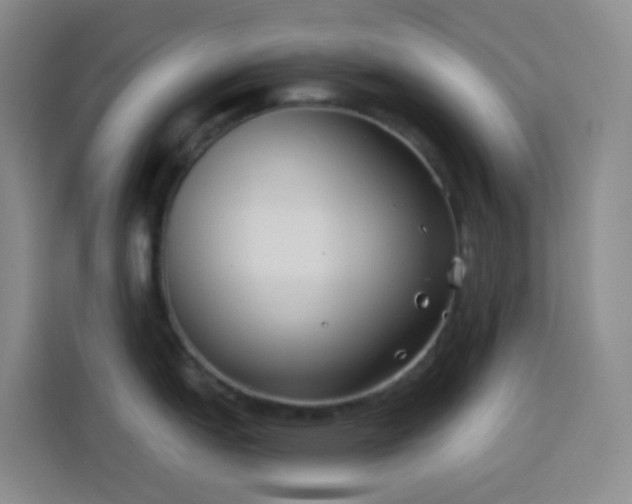 X0000114131151200910081239