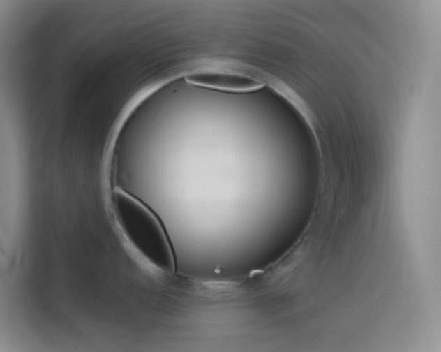 X0000114131152200910081239