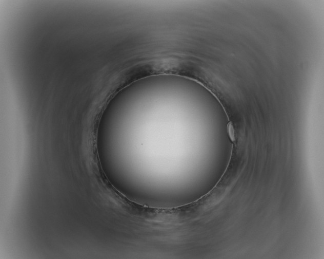 X0000114131153200910081238