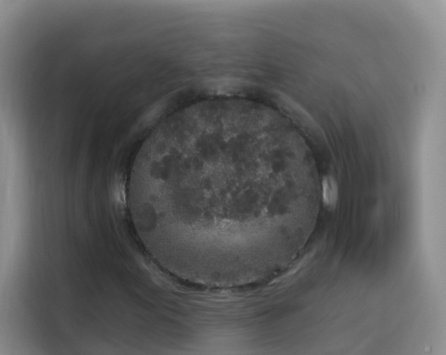 X0000114131155200910081238