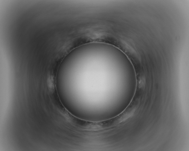 X0000114131156200910081238