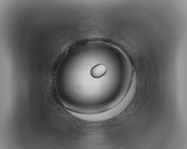 X0000114131157200910081238