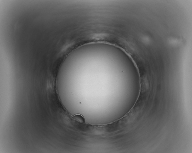 X0000114131158200910081238