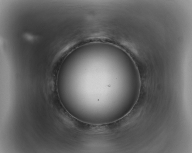 X0000114131159200910081238