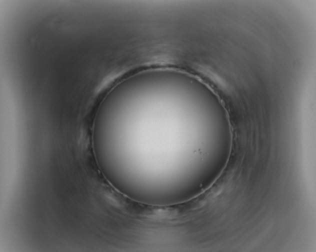 X0000114131160200910081238