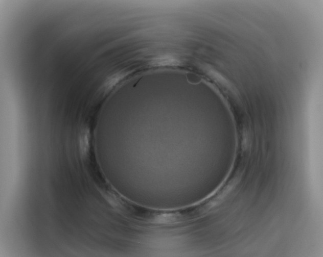 X0000114131161200910081238