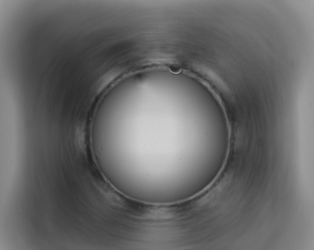 X0000114131162200910081238