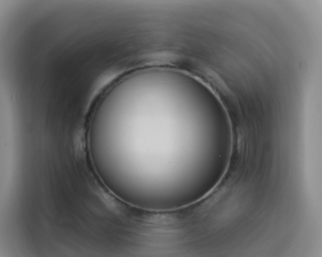 X0000114131164200910081238