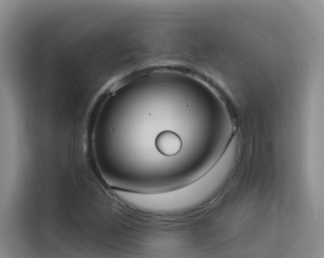 X0000114131165200910081238