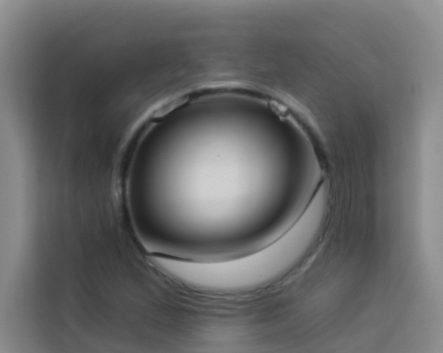 X0000114131167200910081238