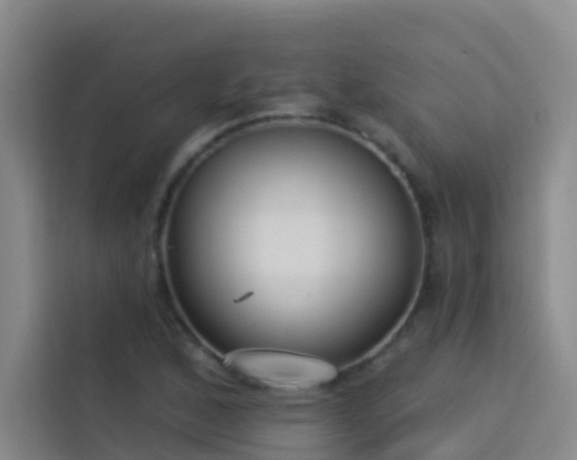 X0000114131168200910081238