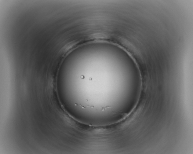 X0000114131169200910081238