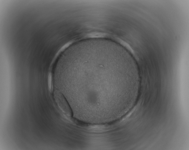 X0000114131171200910081238