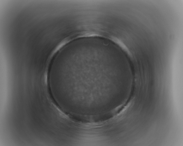 X0000114131173200910081238