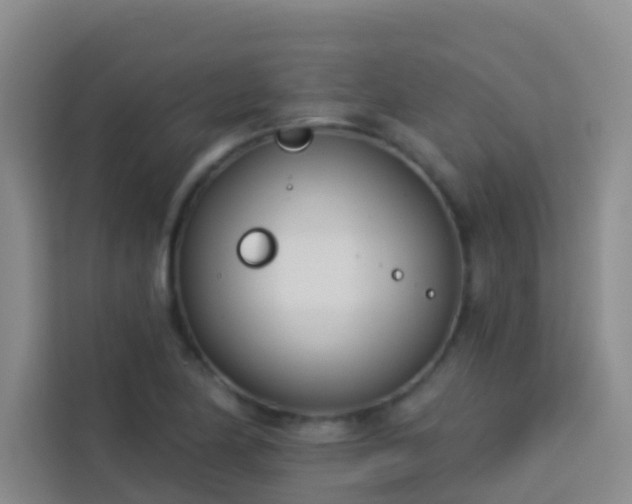 X0000114131174200910081238
