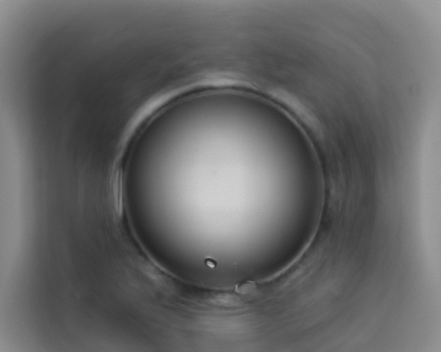X0000114131175200910081238