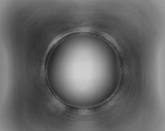 X0000114131176200910081238