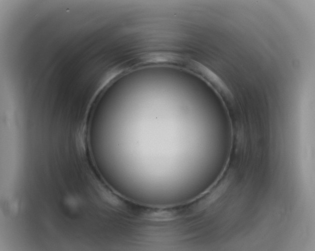 X0000114131178200910081238