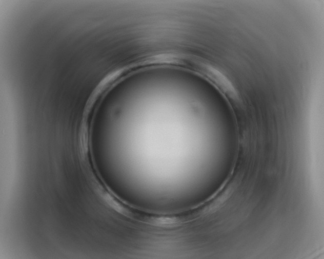 X0000114131180200910081238