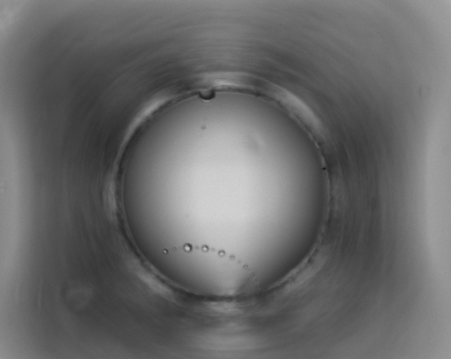 X0000114131182200910081238